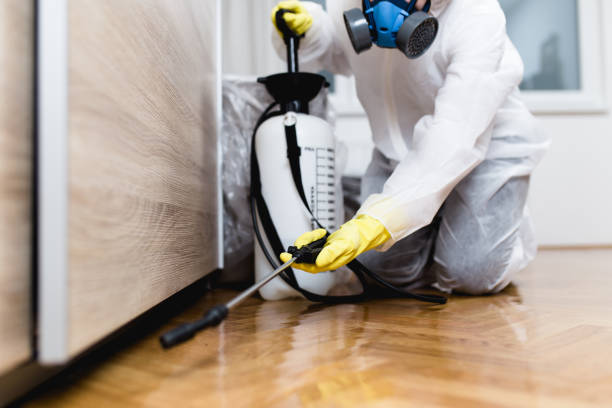 Best Best Pest Control Companies  in Hazel Crest, IL