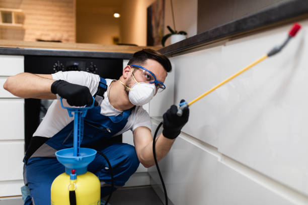 Best Residential Pest Control  in Hazel Crest, IL