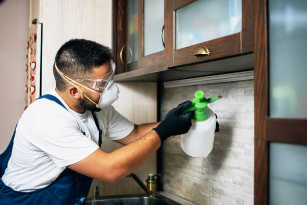 Best Pest Control Treatment  in Hazel Crest, IL