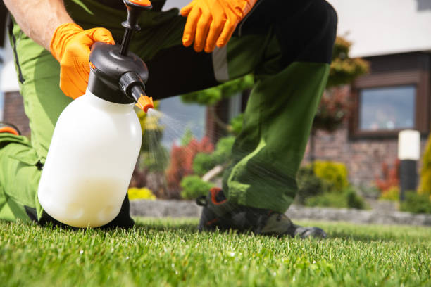 Best Pest Control for Businesses  in Hazel Crest, IL