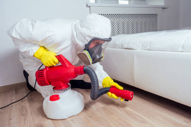 Best Pest Prevention Services  in Hazel Crest, IL