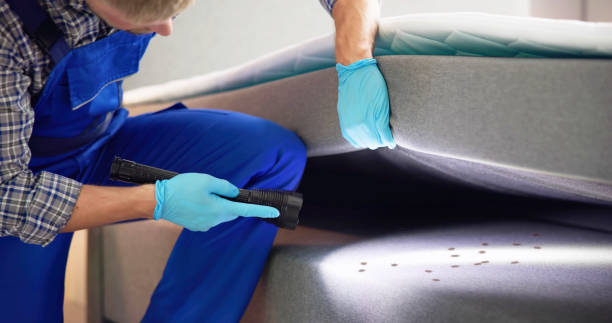 Best Pest Inspection Near Me  in Hazel Crest, IL