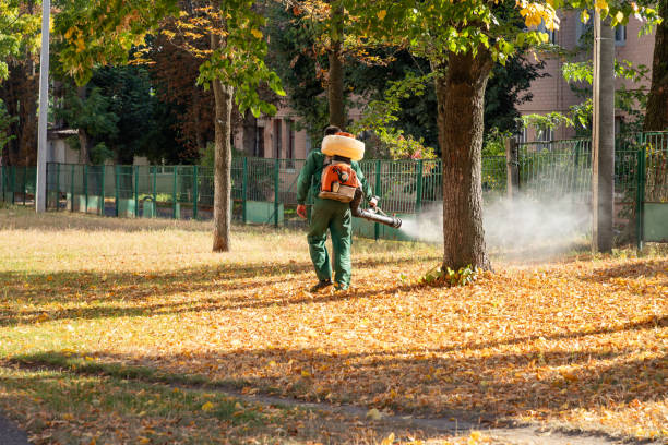 Trusted Hazel Crest, IL Pest Control Experts