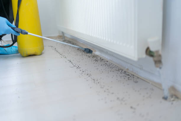 Wildlife Control Services in Hazel Crest, IL