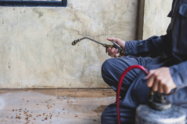Pest Prevention Services in Hazel Crest, IL