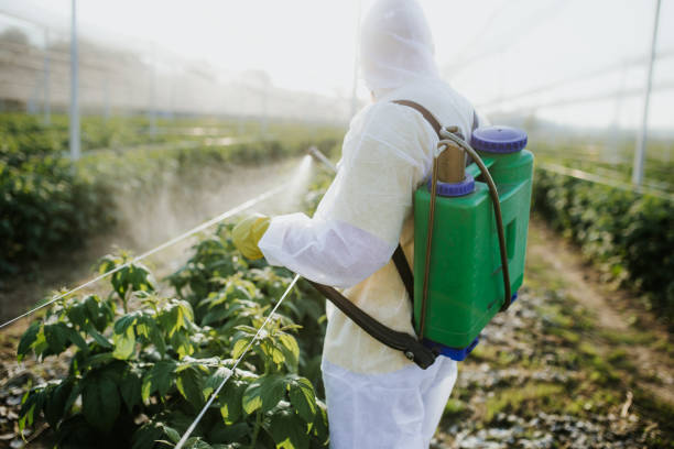 Best Commercial Pest Control Services  in Hazel Crest, IL